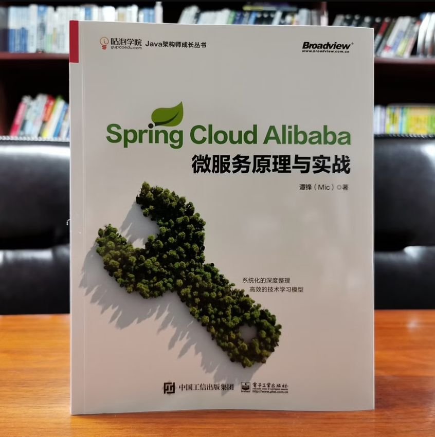 Spring Cloud Alibaba微服务原理与实战 2